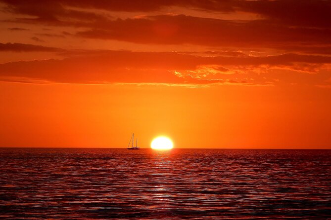 2 hour Tiki Pub Sensational Dolphin Sunset Cruise (Adults only) - What You Get On Board: Cooler Ice, Bottled Water, Life Jackets