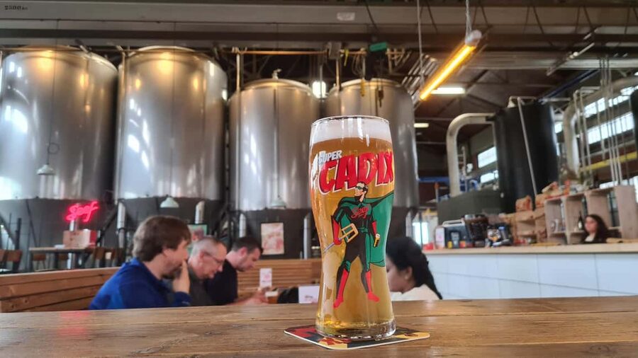 Antwerp: Pub Crawl in the Historical City - Guide energy: why people rave about Flip and the group vibe