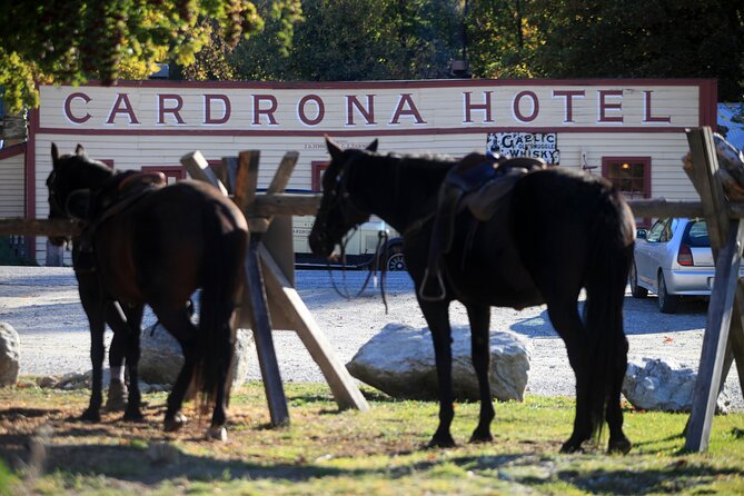 Cardrona High Country Pub Trail Horse Riding Trek (Intermediate+) - Key highlights to know before you book
