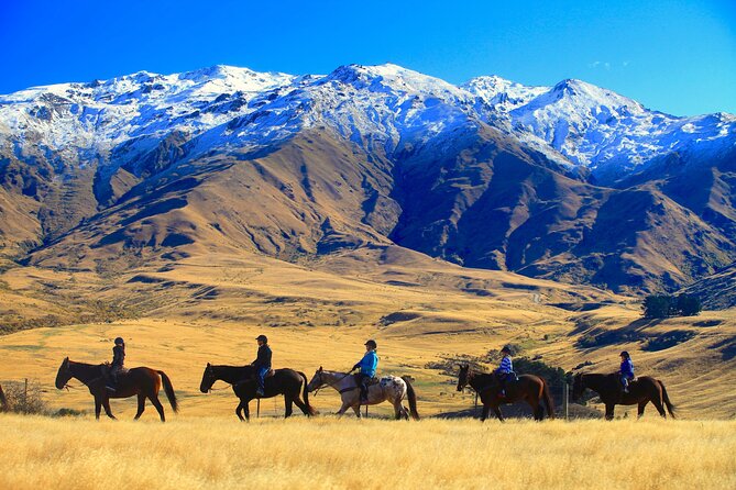 Cardrona High Country Pub Trail Horse Riding Trek (Intermediate+) - Why this pub trail trek feels different