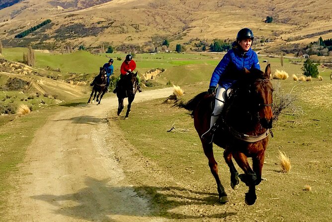 Cardrona High Country Pub Trail Horse Riding Trek (Intermediate+) - Who this ride is best for (and who should skip it)