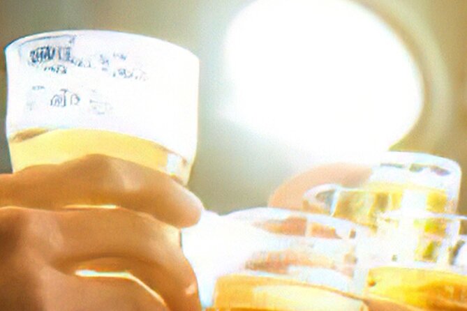 Drinks on Foot: Dublin Traditional Pub Tour - Price and Value: What You Pay for the Tour vs. the Drinks