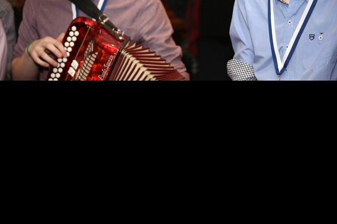 Dublin Irish Musical Pub Tour - Who this tour is best for