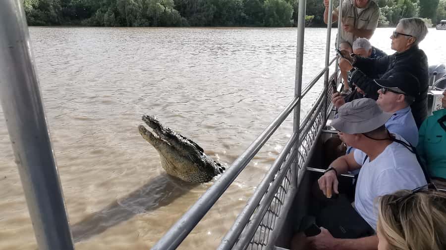 Jumping Croc Cruise, Berry Springs,Fogg Dam & Humpty Doo Pub - FAQ