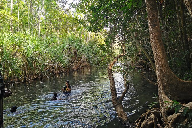 Jumping Croc Cruise, Berry Springs, Fogg Dam & Humpty Doo Pub - Darwin To Berry Springs, Crocs, and Fogg Dam: What This 8.5-Hour Day Feels Like