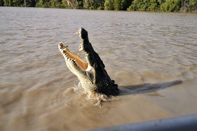 Jumping Croc Cruise, Berry Springs, Fogg Dam & Humpty Doo Pub - Who This Small-Group Darwin Tour Fits Best