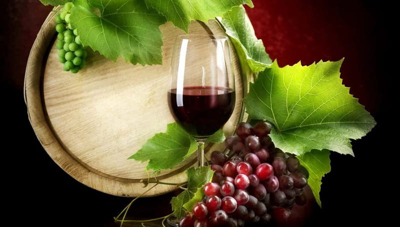 Madrid Wine Tasting, Flamenco Class and Pub Crawl - Should you book this Madrid wine, flamenco, and pub crawl?