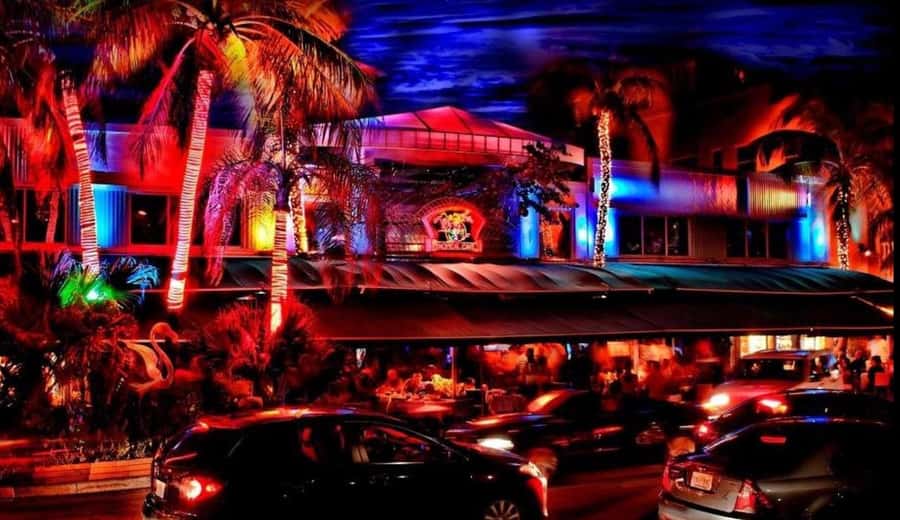 Miami Pub Crawl + Clubbing Experience - Who this experience suits best