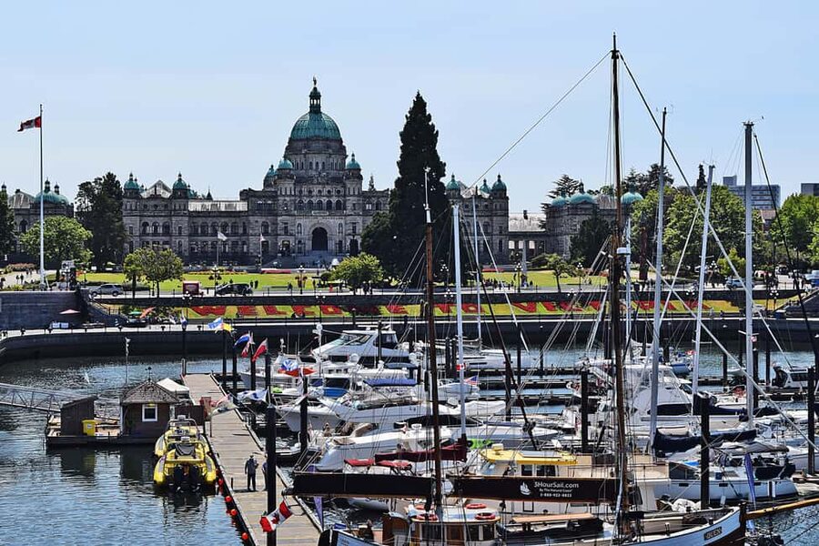 Pickle Pub Crawl: Ferry Rides and Appetizers - Two Water Taxi Rides: The Fun Part That Also Solves Distance