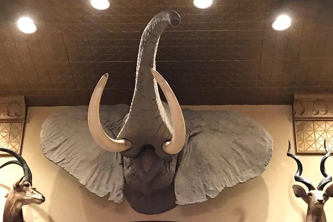 Private History Pub Tour through the Menger & Buckhorn Saloon - Menger Bar for 45 minutes: famous names and classic San Antonio flavor