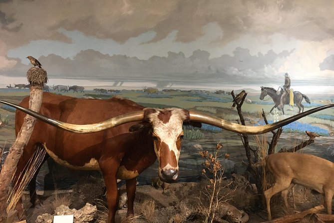 Private History Pub Tour through the Menger & Buckhorn Saloon - Buckhorn Saloon and Texas Ranger Museum: taxidermy plus Texas Ranger memorabilia